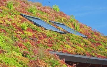 Bridge Of Don living roof systems
